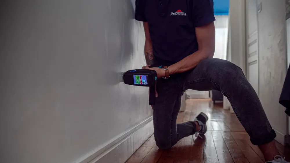 Diagnostic-plomb-a-Chaource